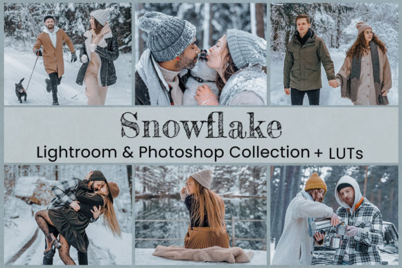 Download Snowflake Lightroom Preset Photoshop LUT - Premium Resources